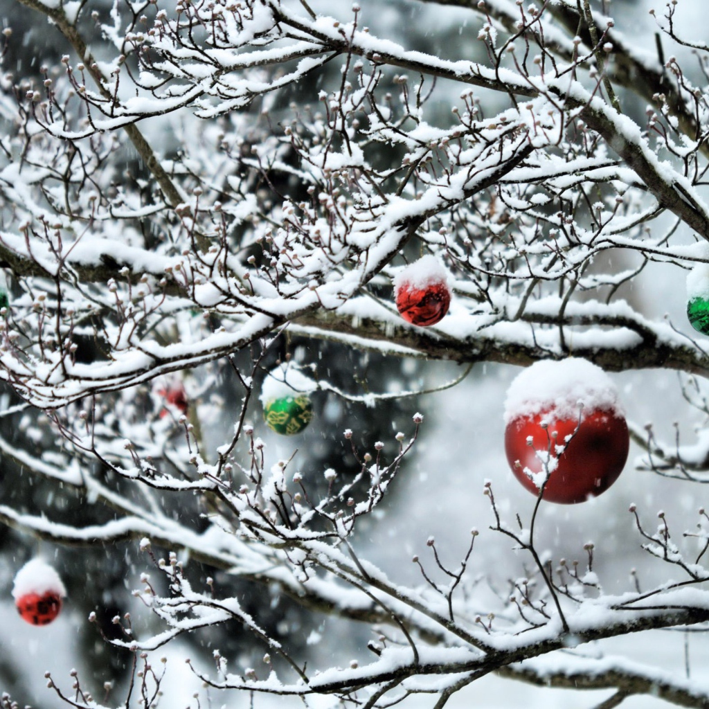 Игрушки на дереве