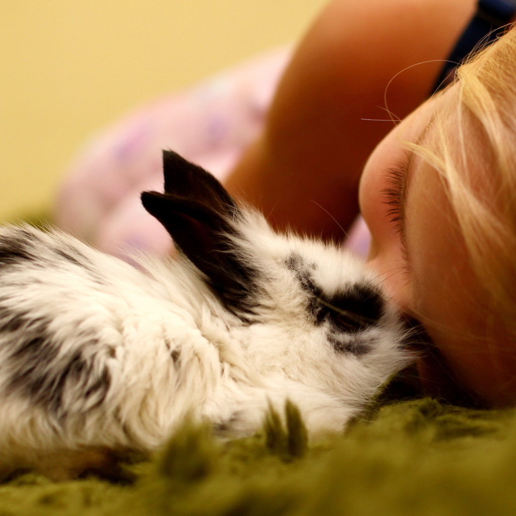 Девочка и кролик