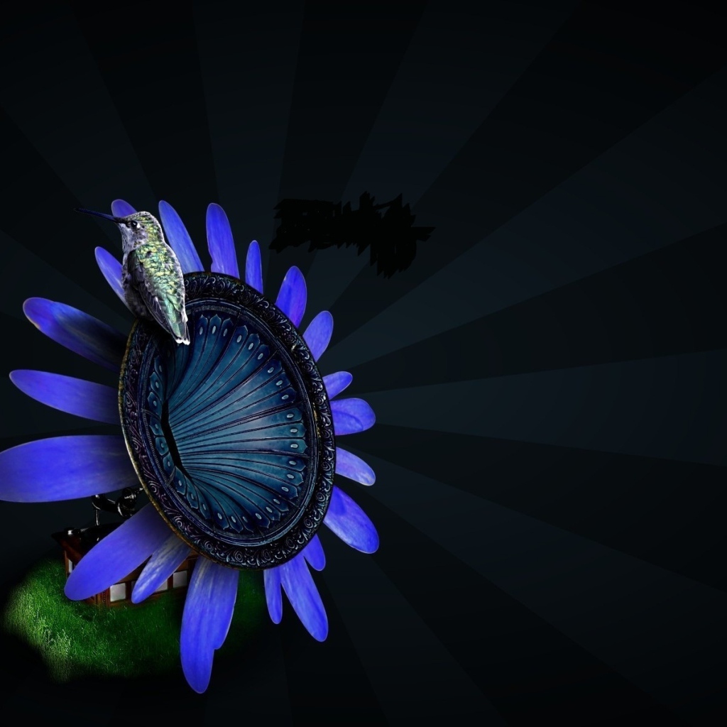 Птица на цветке