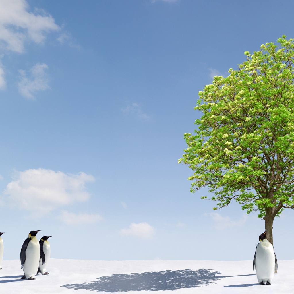 Пингвины и дерево