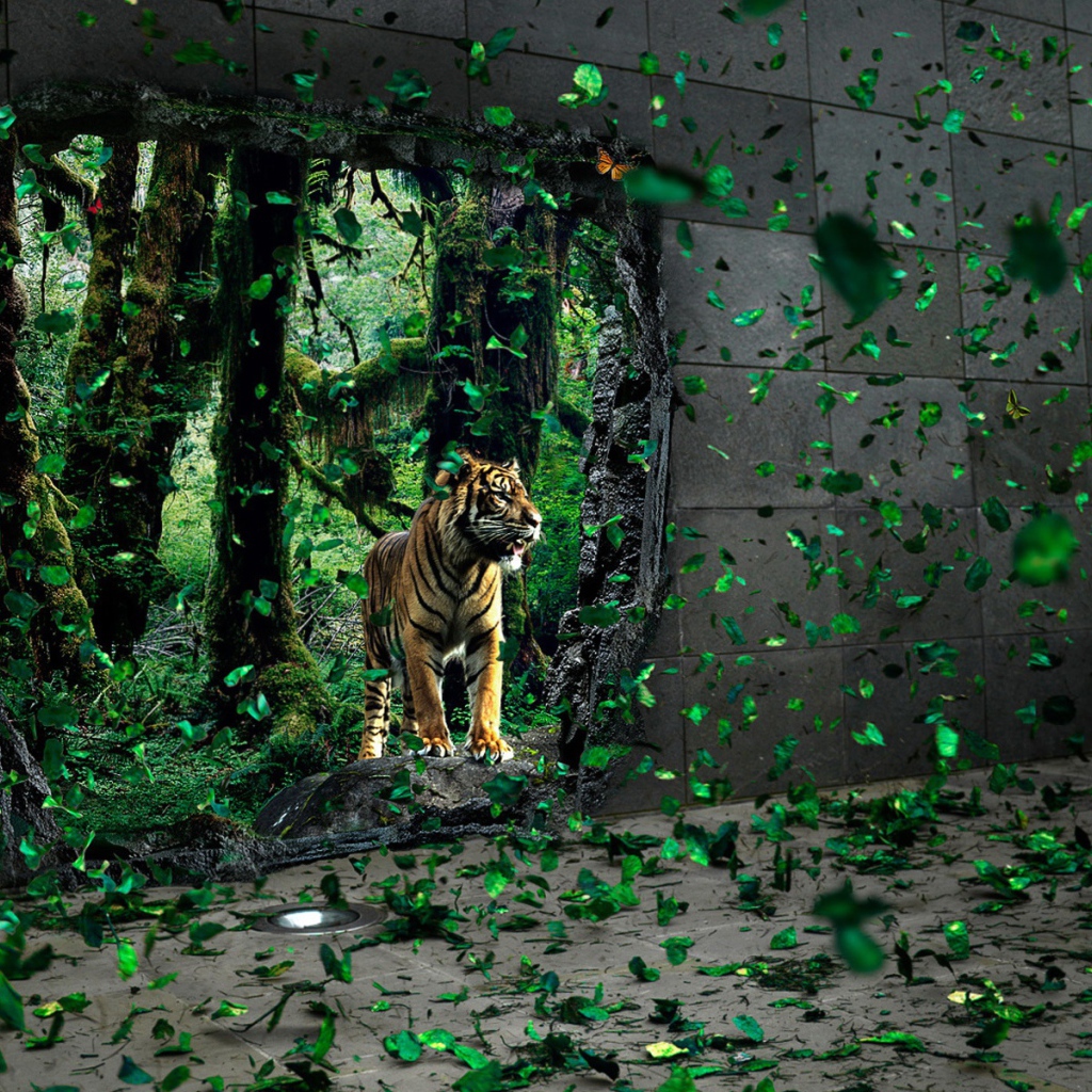 Тигр за стеной