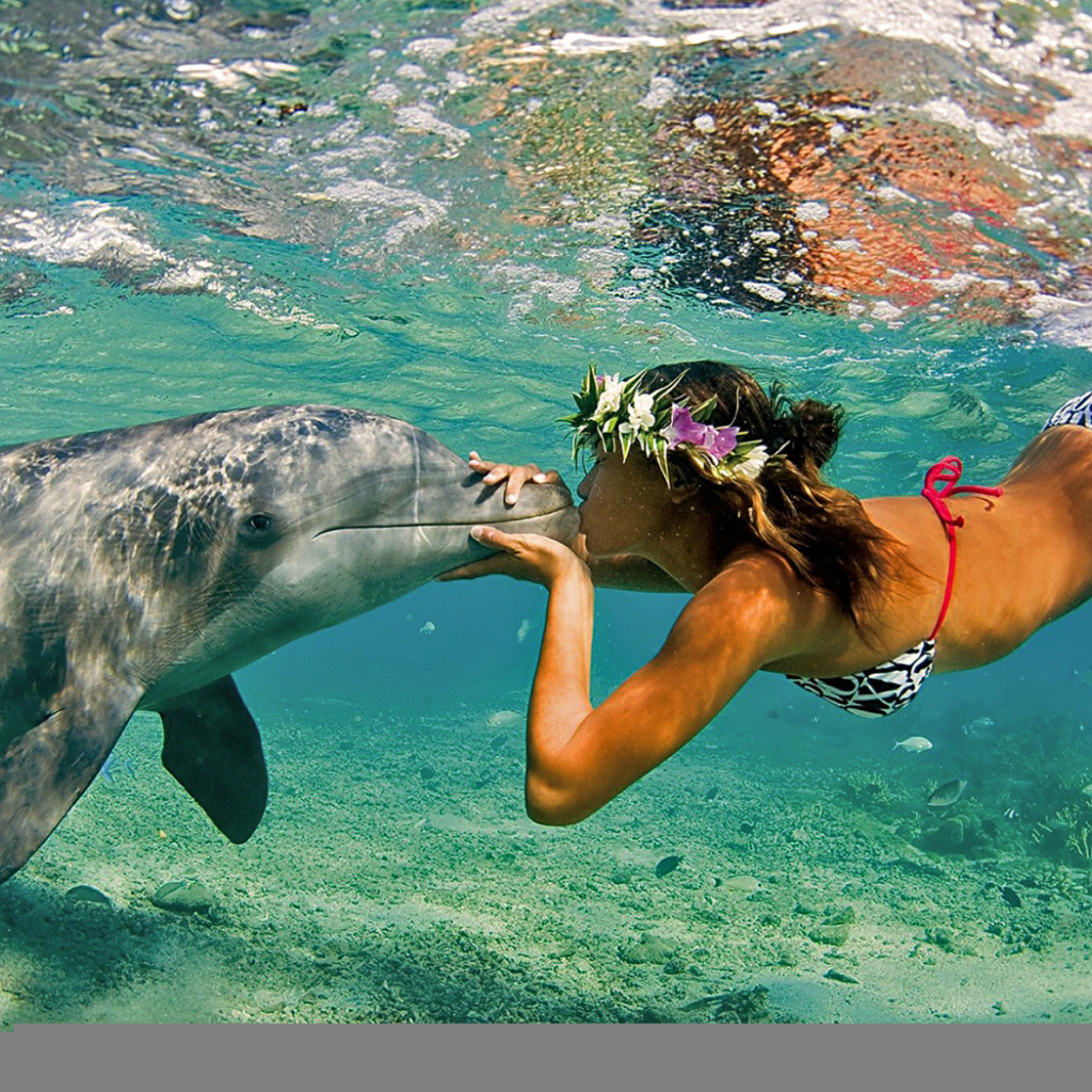 Поцелуй дельфина