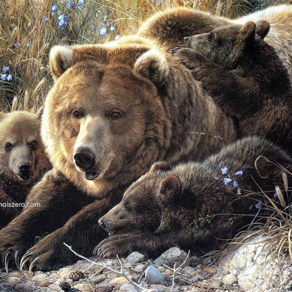 Семья медведей