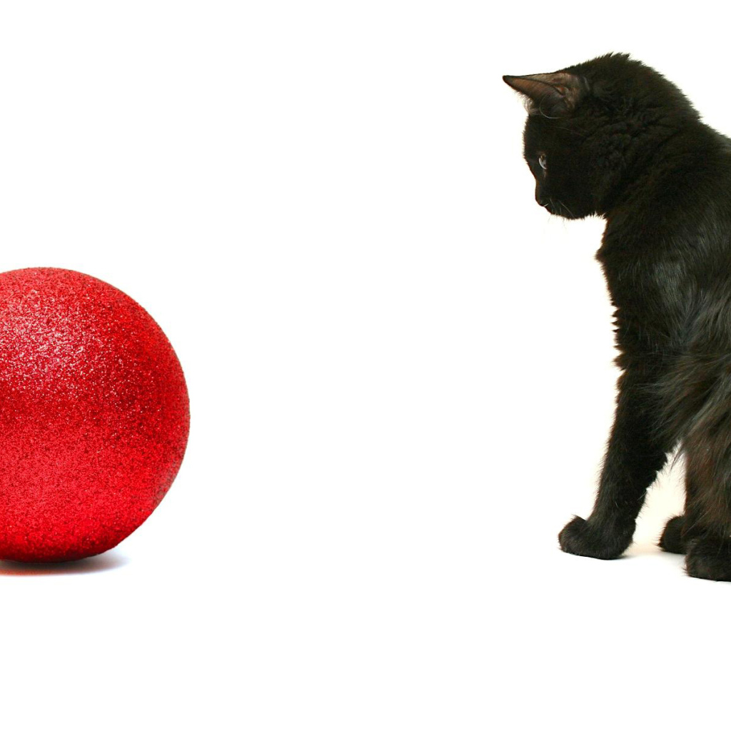 Чёрный кот и красный шар