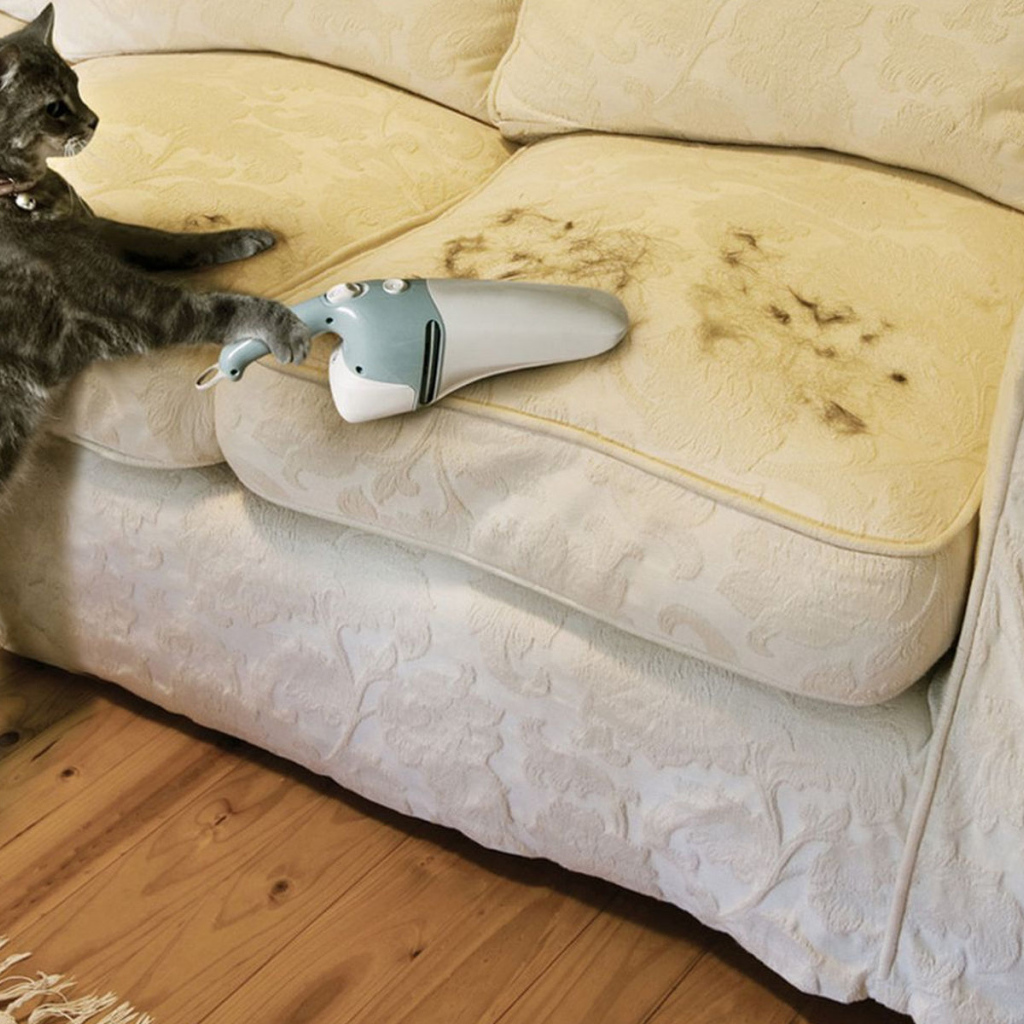 Кот пылесосит