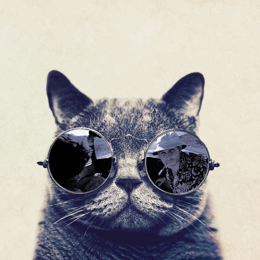 Кот в очках Страх в Вегасе