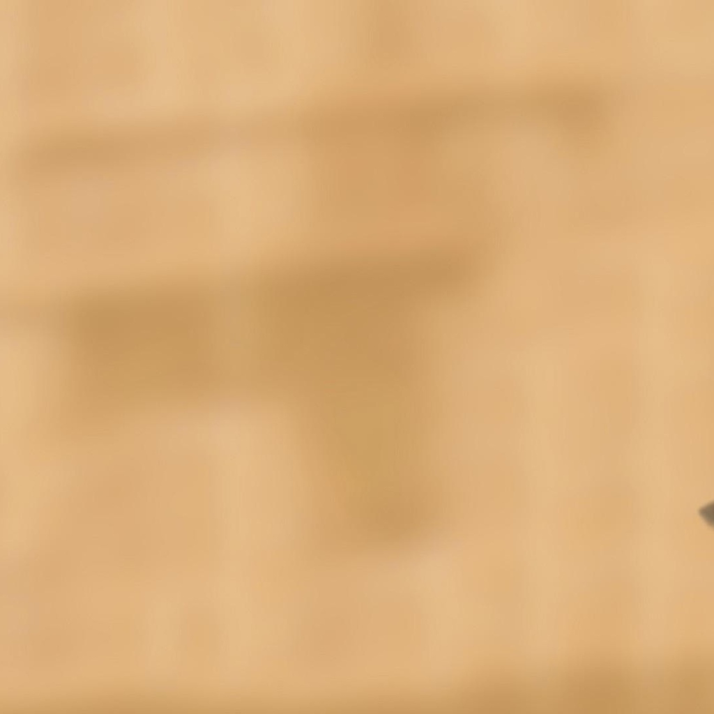 Серые коты подглядывают