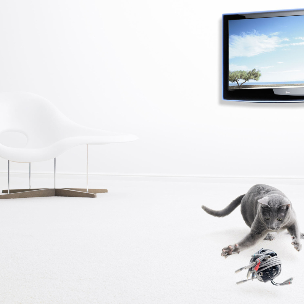 Серый кот и его игрушка