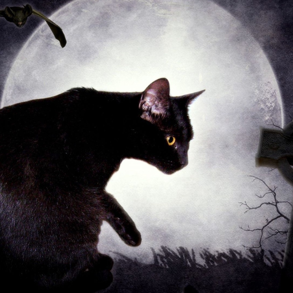 Черная кошка и луна