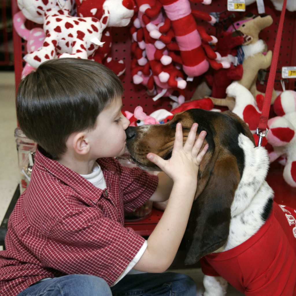 Бассет-хаунд и ребёнок