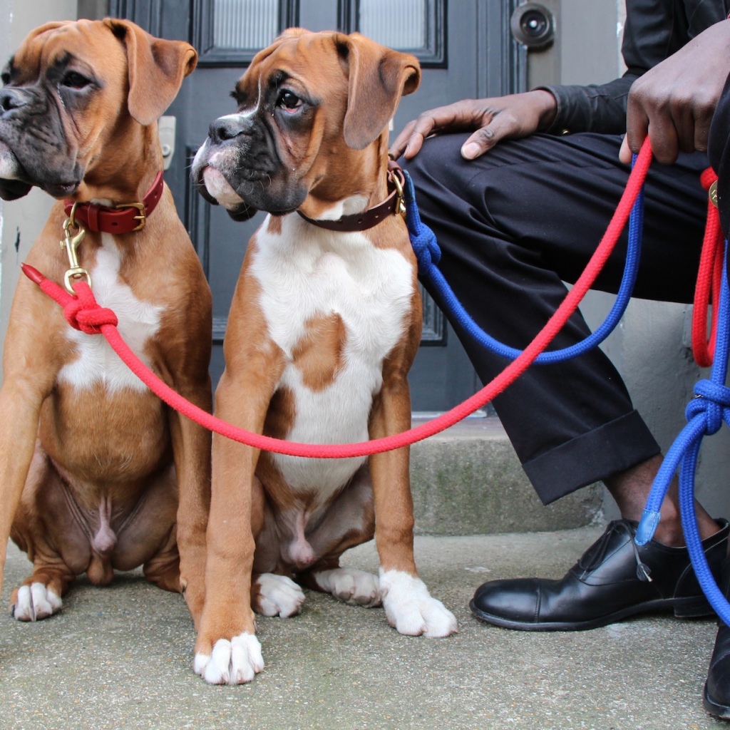 Братья боксёры и их хозяин