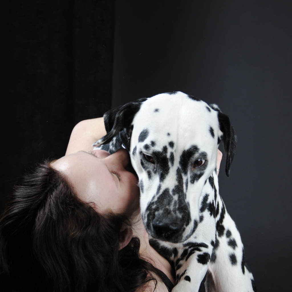 Далматин с его владельцем