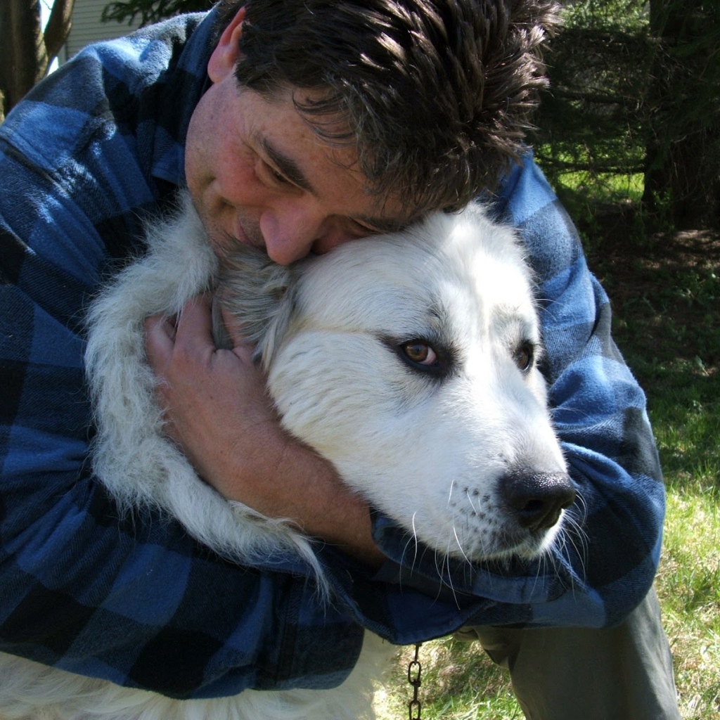 Большая пиренейская собака и любящий хозяин