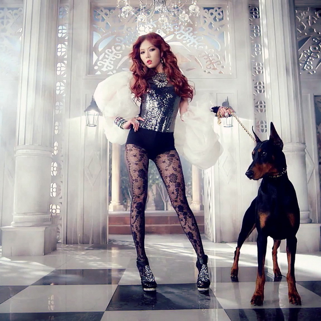 Поп-звезда и доберман