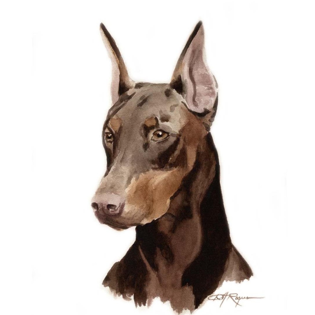 Картина добермана