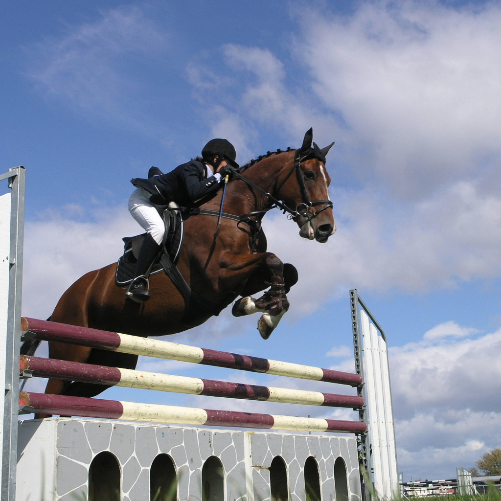 Знаменитые лошади