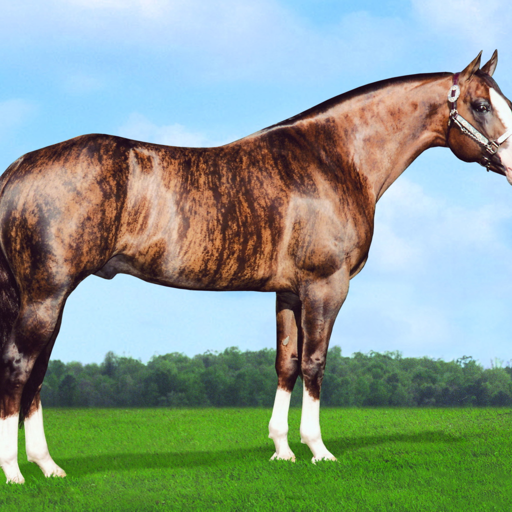 Золотая лошадь