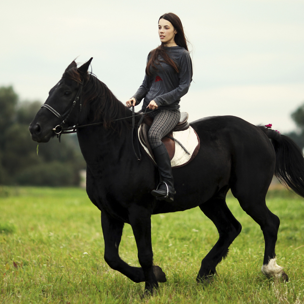 Лошадь со всадником