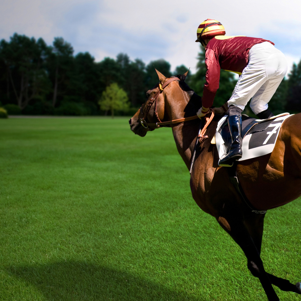 Езда на лошади