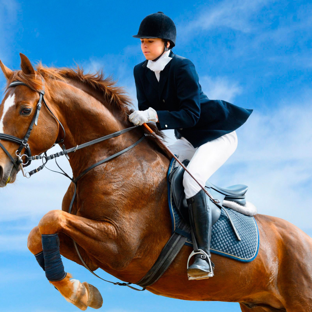 Лошадь скачущая