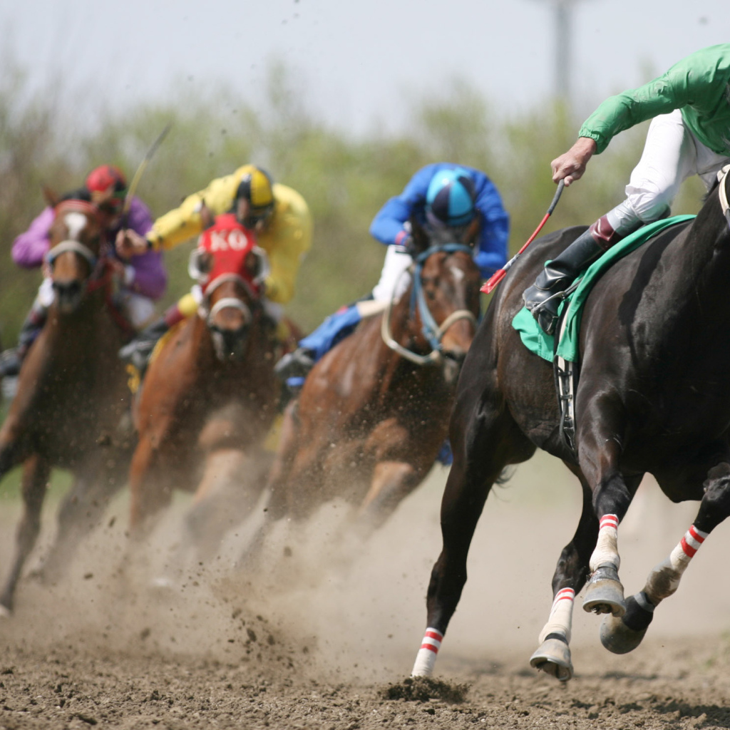 Гонки на лошадях
