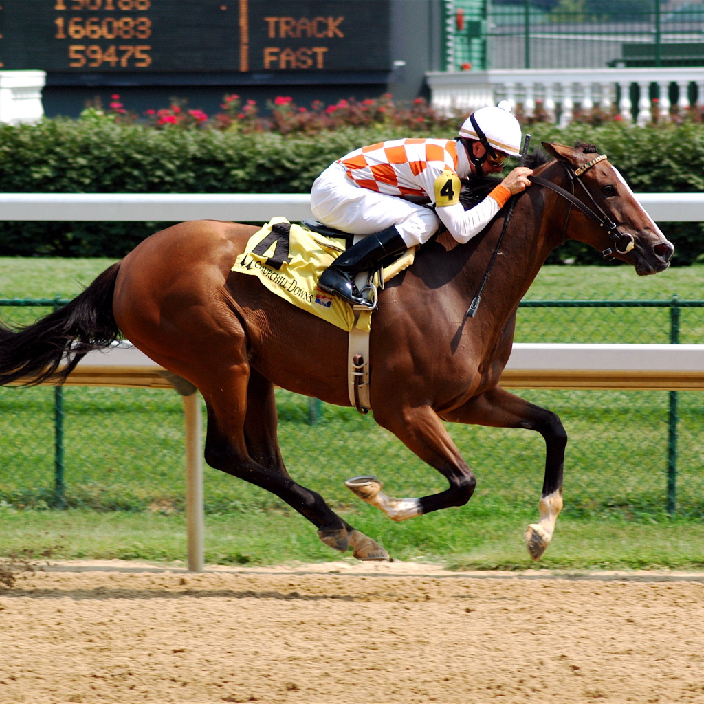 Скачки на лошадях