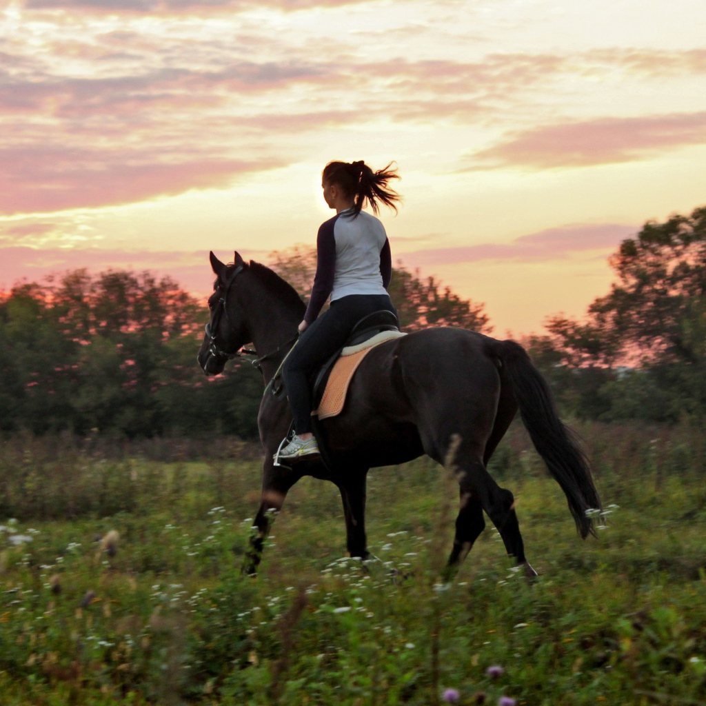 Прогулка на лошадях, закат