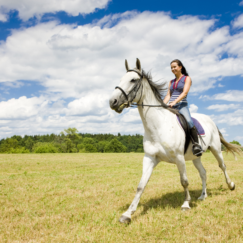 Катание на лошадях