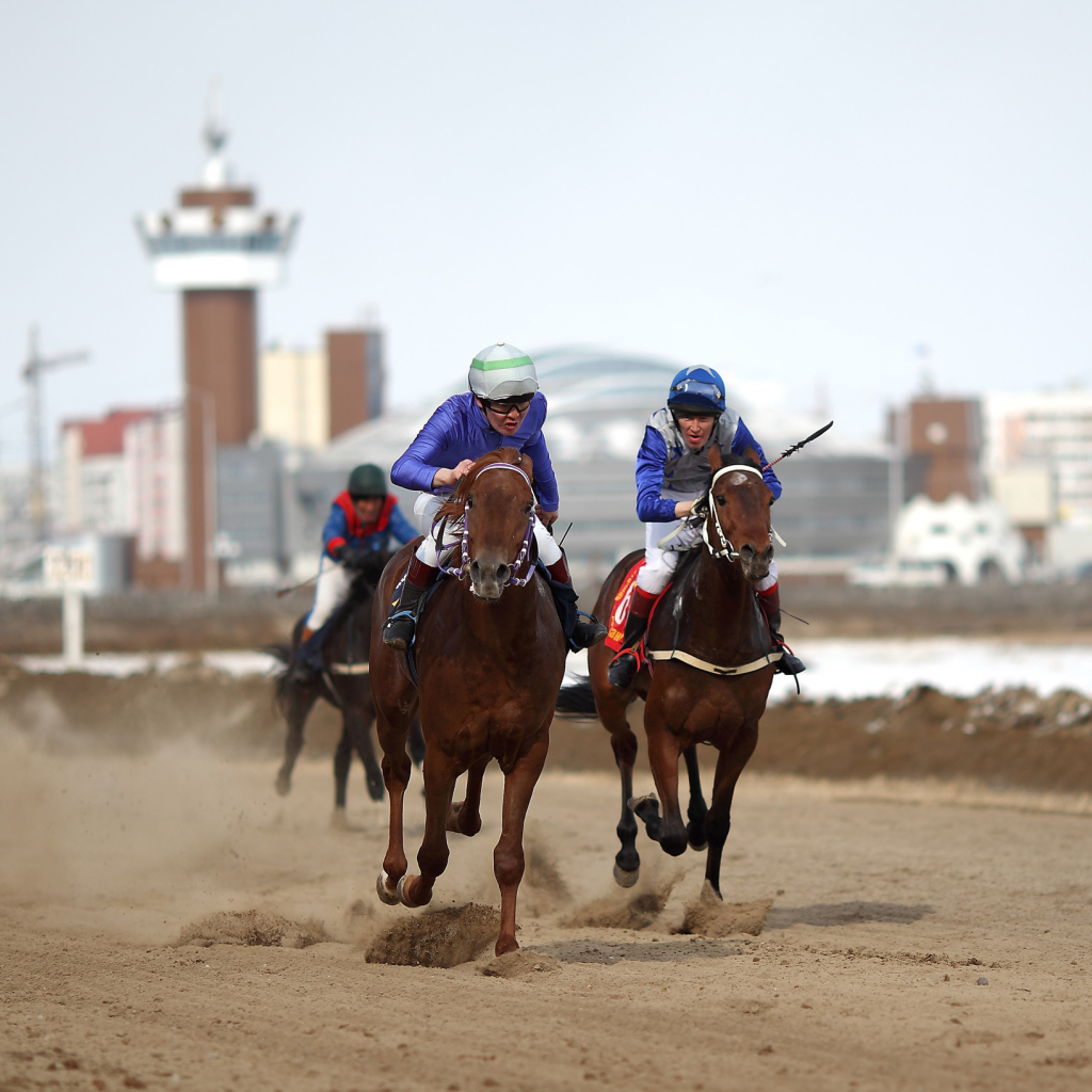 Лошади скакуны