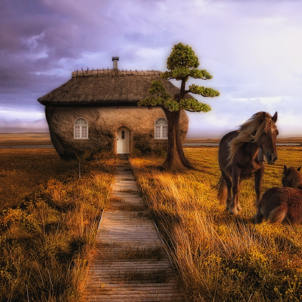 Дом лошадей