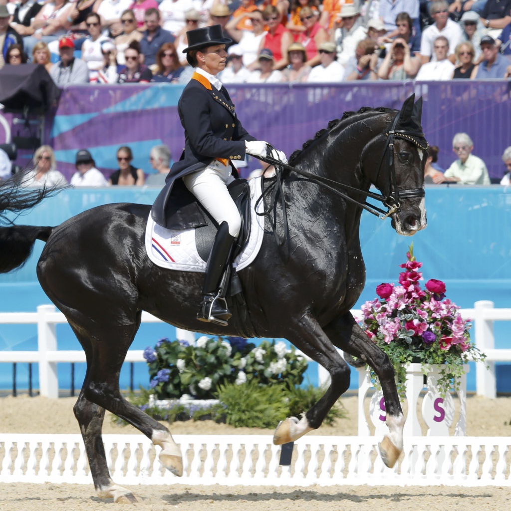 Всадник на лошади