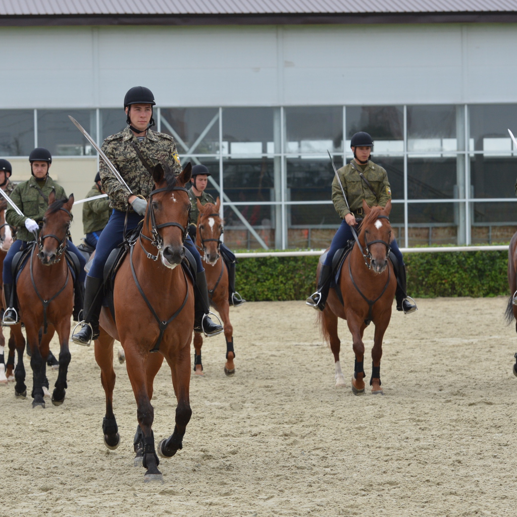Верховая езда на лошади