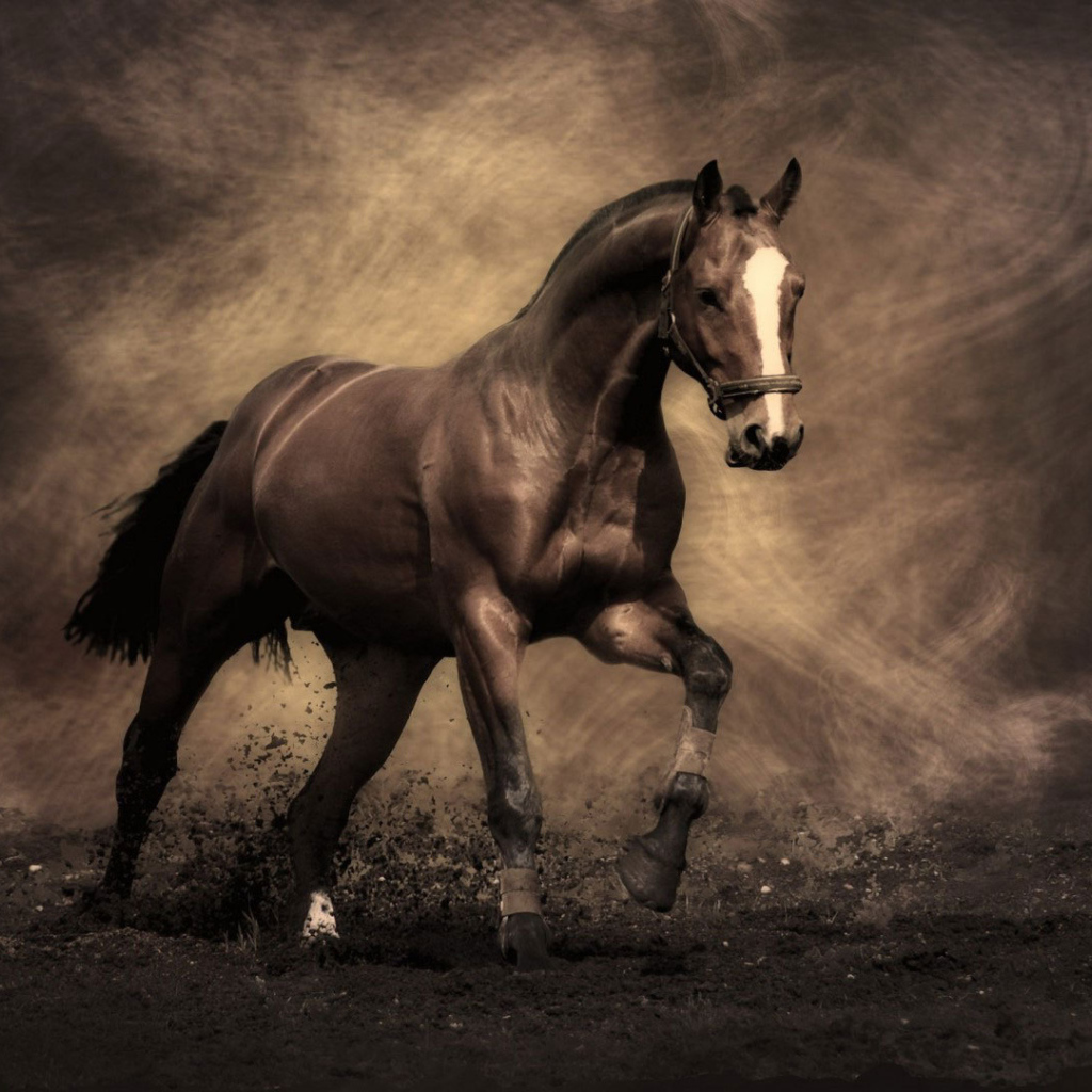 Самые знаменитые лошади