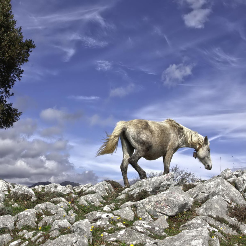 Серебряная лошадь