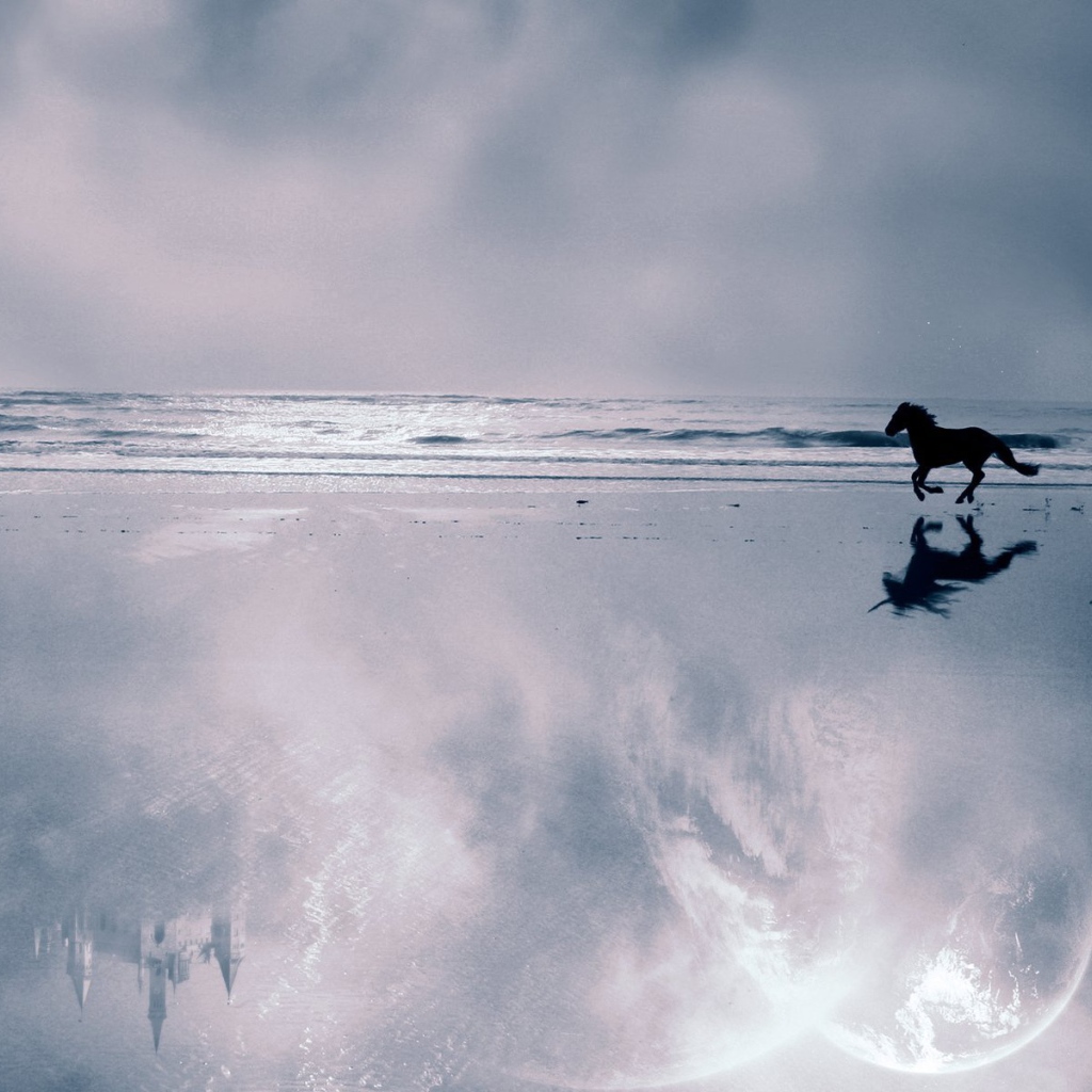 Мир лошадей