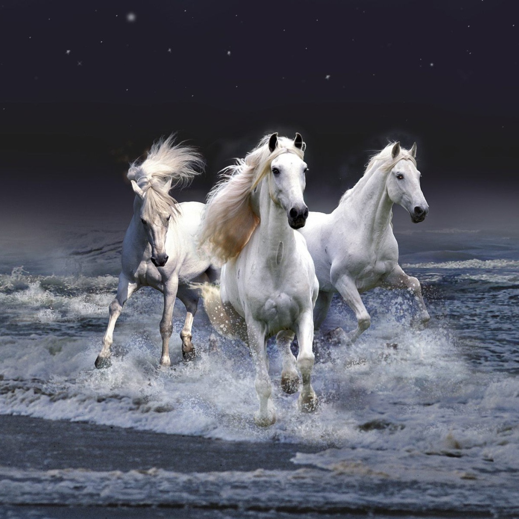 Тройка белых лошадей