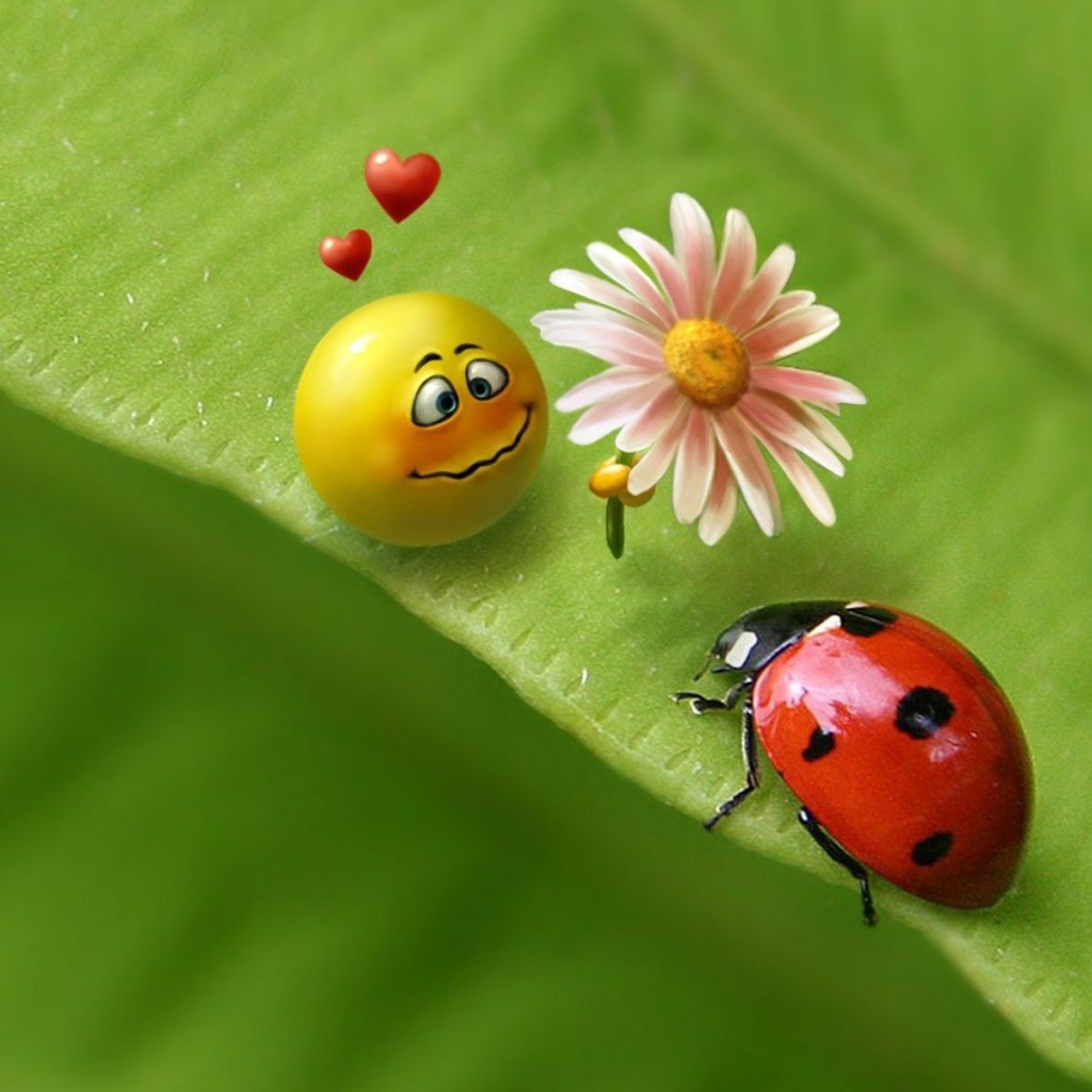 Смайлик и божья коровка