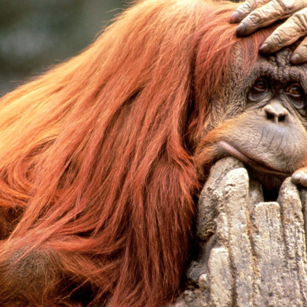 Что то я сегодня плохо выгляжу