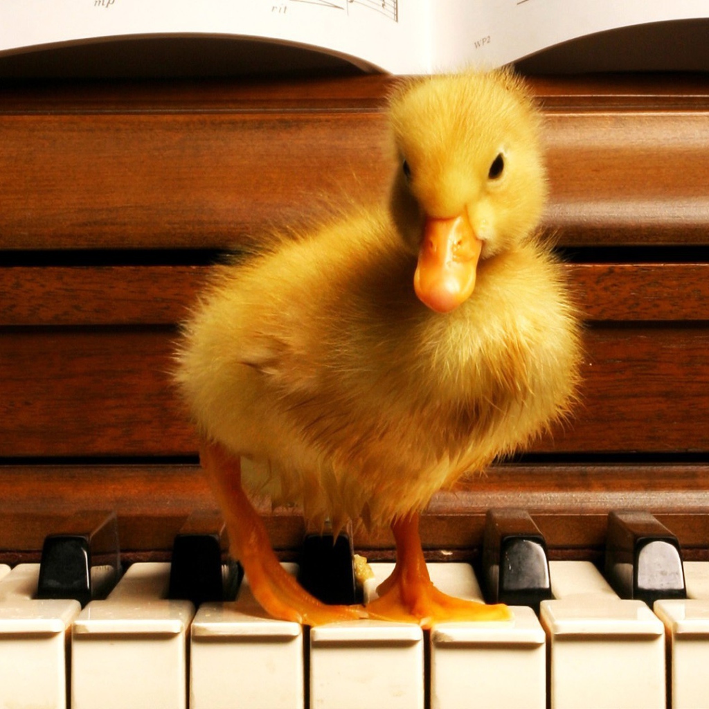 Я учусь играть