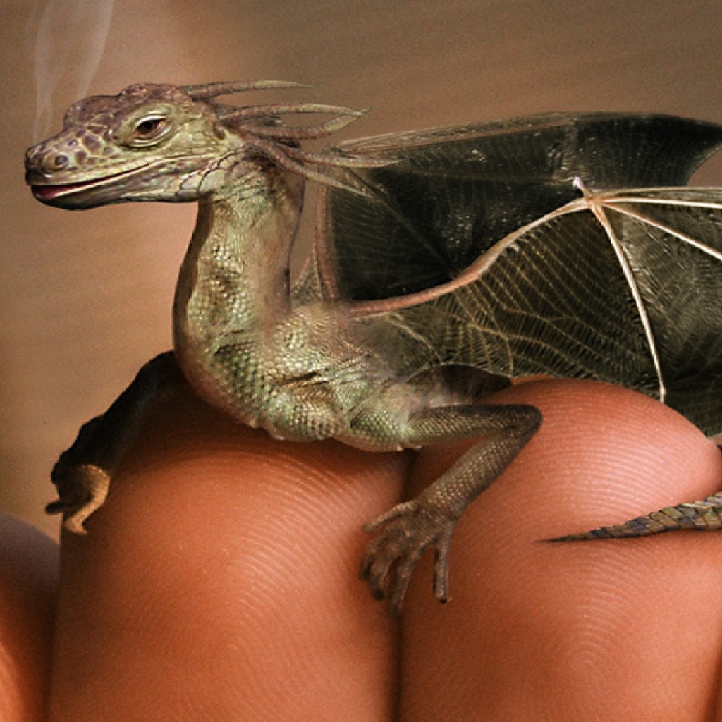 Дракон на пальцах