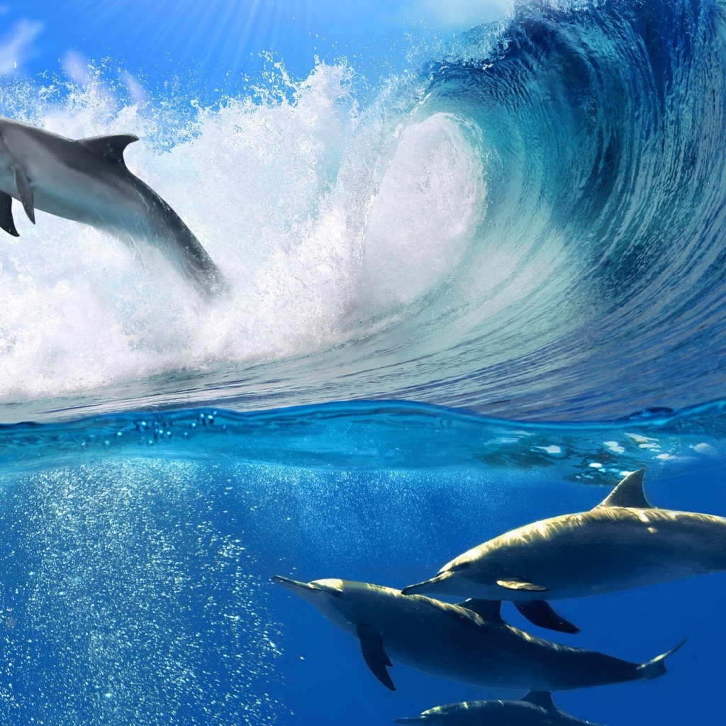 Дельфин в прыжке