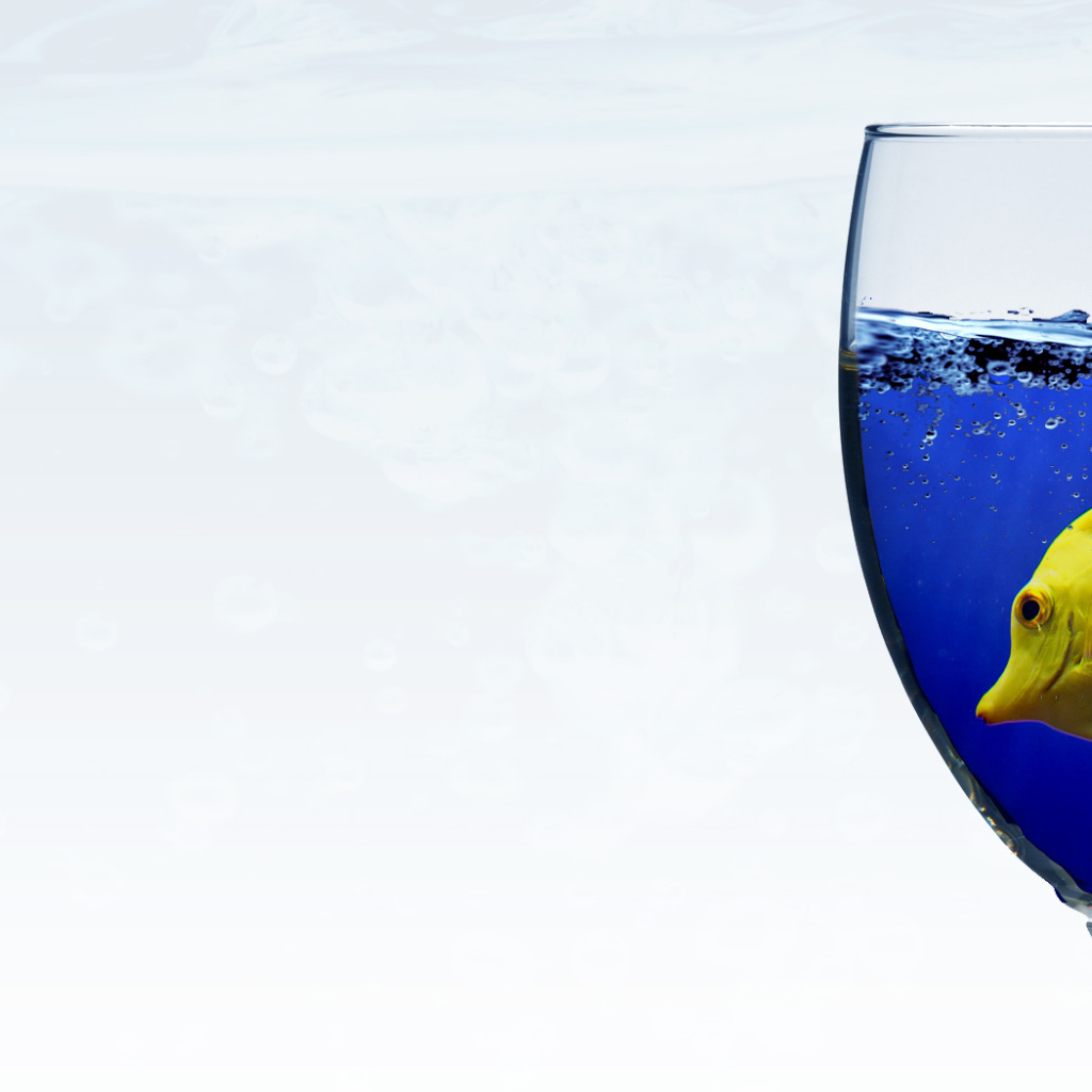 Рыба в бокале