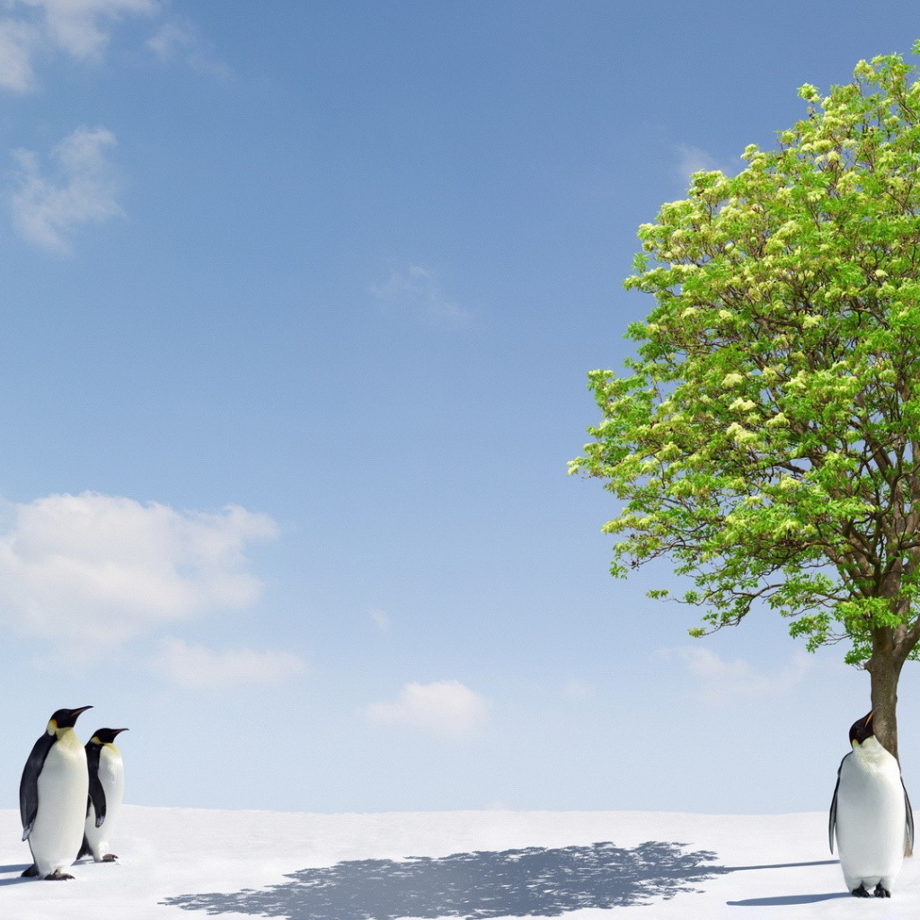 Зеленое дерево чудо для пингвинов
