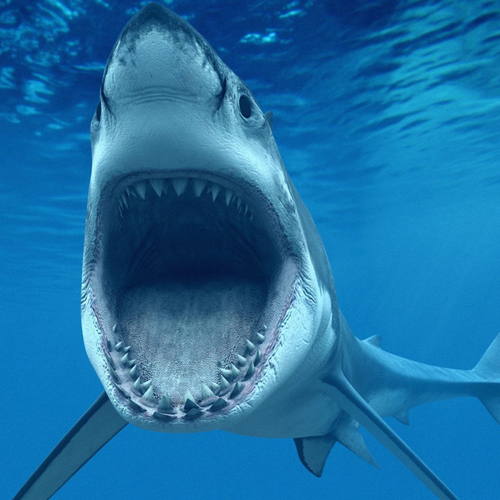 Зубастая Пасть акулы