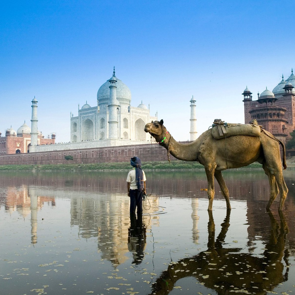Boy with a camel