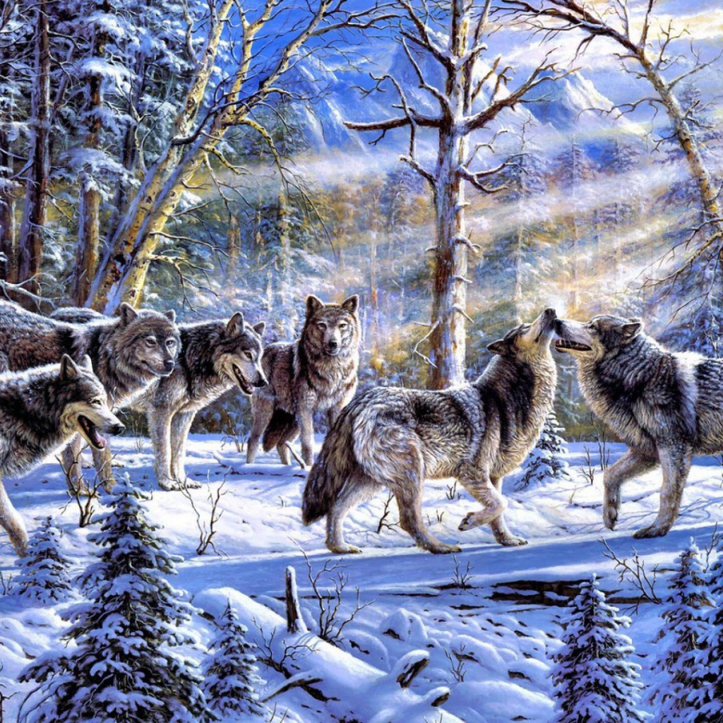 Стая волков на снегу