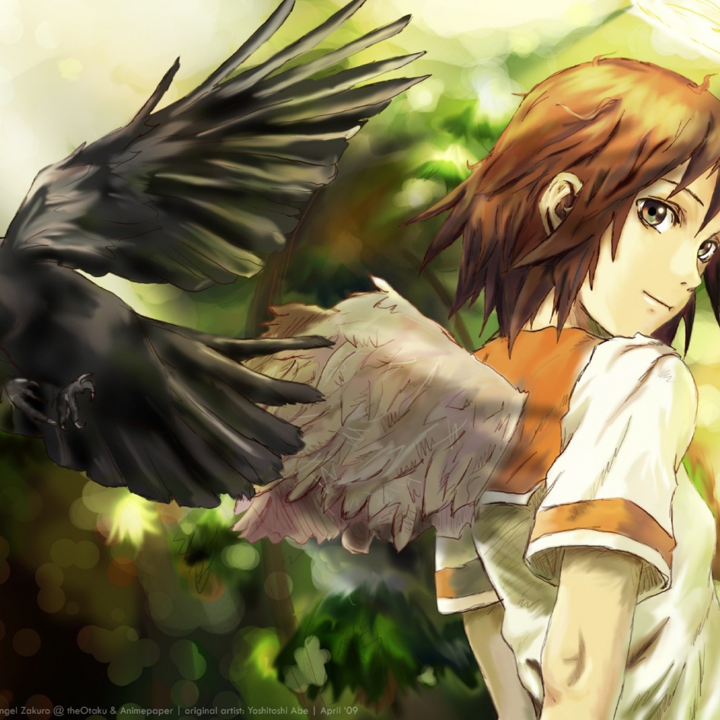 Альянс Серокрылых