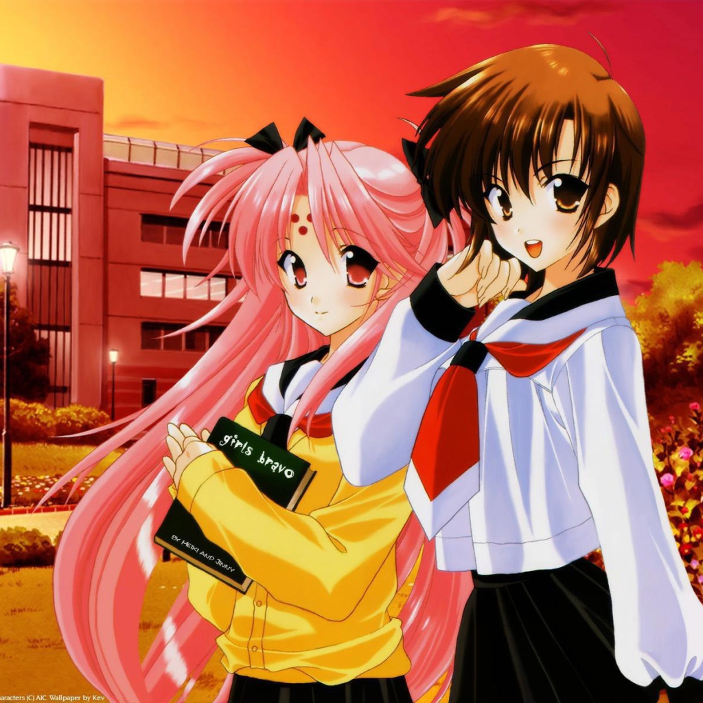 Браво девушки