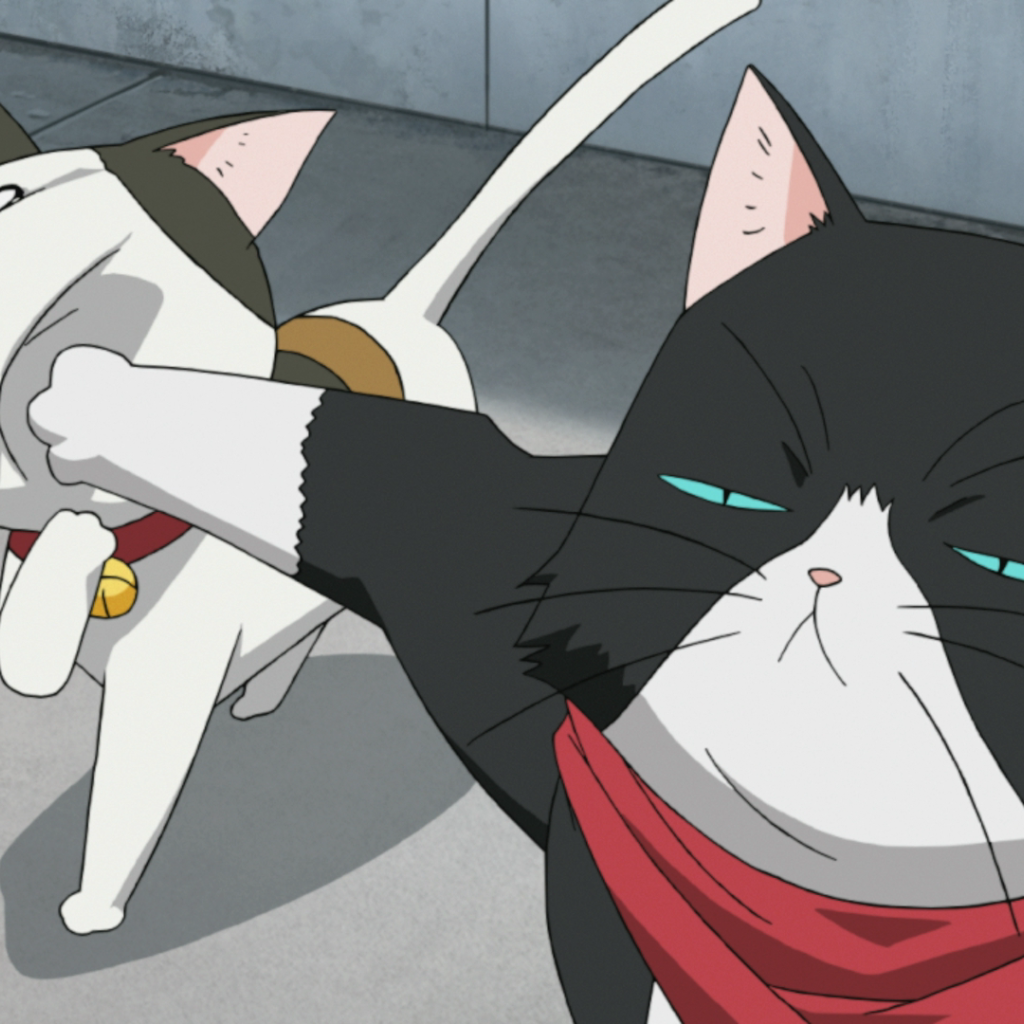 Кошачьи прихоти