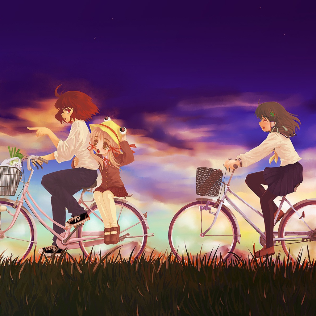 Девочки едут на велосипедах